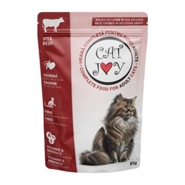 Hrana umeda pentru pisici Cat Joy cu vita in sos 85 gr