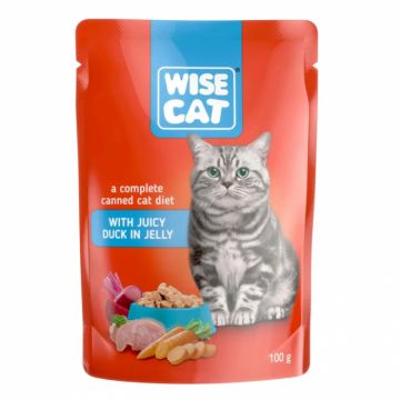 Hrana umeda pentru pisici Wise cu rata 100 gr