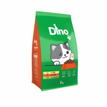 Hrana uscata pentru pisici Dino cu pui  vita  legume 2 kg