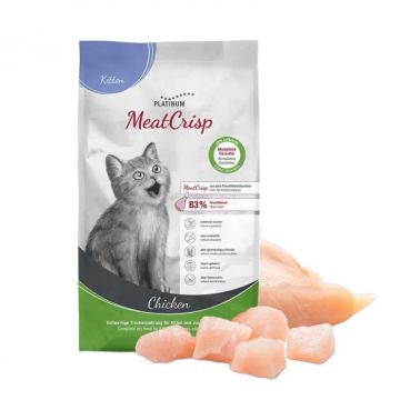 Hrana uscata pentru pisici Platinum Meat Crisp Junior cu pui 1,5 kg
