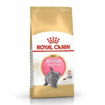 Hrana uscata pentru pisici Royal Canin British Shorthair Kitten 2 kg