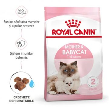 Hrana uscata pentru pisici Royal Canin Mother  Babycat 2 kg