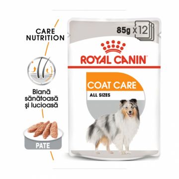 Set 12 buc x  85 gr Hrana umeda pentru caini Royal Canin Coat Care All Sizes