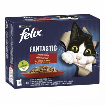 Set 12 buc x 85 gr Hrana umeda pentru pisici Felix Fantastic cu vita, iepure, miel  pui
