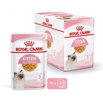 Set 12 buc x 85 gr Hrana umeda pentru pisici Royal Canin Kitten in Jelly