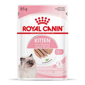 Set 12 buc x 85 gr Hrana umeda pentru pisici Royal Canin Kitten Loaf Pate