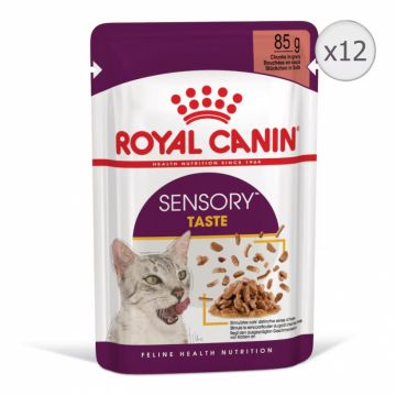 Set 12 buc x 85 gr Hrana umeda pentru pisici Royal Canin Sensory Taste