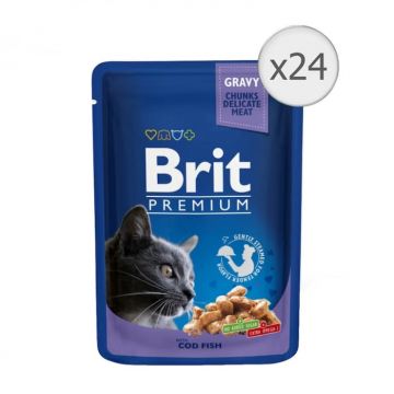 Set 24 buc x 100 gr Hrana umeda pentru pisici Brit cu cod alb