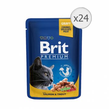 Set 24 buc x 100 gr Hrana umeda pentru pisici Brit cu somon  pastrav