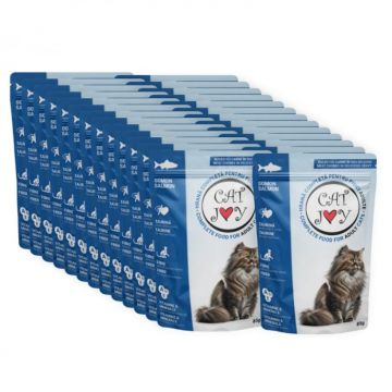 Set 24 buc x Hrana umeda pentru pisici adulte Cat Joy cu somon in sos 85 gr