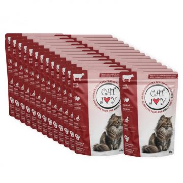 Set 24 buc x Hrana umeda pentru pisici adulte Cat Joy cu vita in sos  85 gr