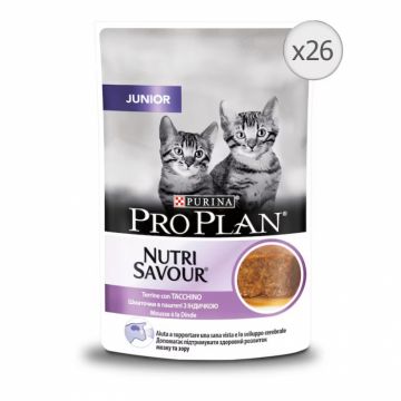 Set 26 buc x 75 gr Hrana umeda pentru pisici Pro Plan Nutrisavour Junior Terina cu curcan