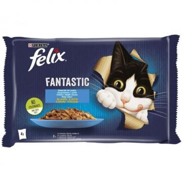 Set 4 buc x 85 gr Hrana umeda pentru pisici Felix Fantastic cu somon