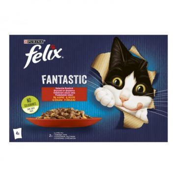 Set 4 buc x 85 gr Hrana umeda pentru pisici Felix Fantastic vita  pui