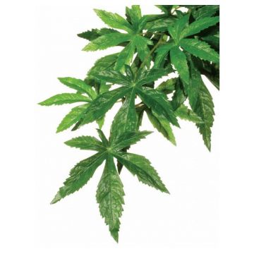 EXO TERRA PLANTA ABUTILON SMALL, 40 cm