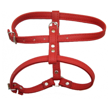 Ham Caini Enjoy Piele Eco, 20 mm