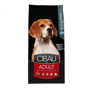 Hrana uscata pentru caini Cibau Medium Adult cu pui 2,5 kg Hrana uscata pentru caini Cibau Medium Adult cu pui 2,5 kg
