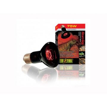 LAMPA HEAT GLO 100W