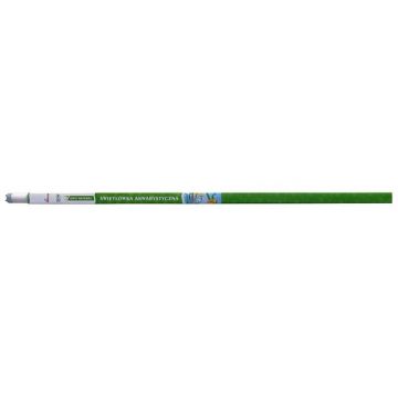 Neon T8 Diversa Opti Natural 30W 90cm