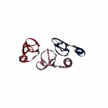 Set ham  lesa pentru caini 1,20 m   1,5 cm