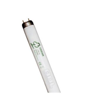 Tub Neon T8 Osram Fluora - 30 W