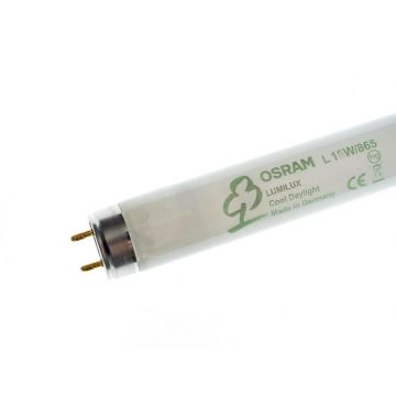 Tub Neon T8 Osram Lumilux 865 - 30W
