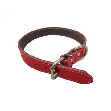 Zgarda din piele pentru caini de talie medie Nr.3 Petro 2,3 x 50cm