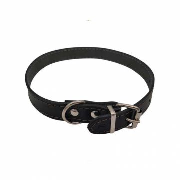 Zgarda din piele pentru caini de talie mica-medie Nr. 2 Petro 1,9 x 45 cm
