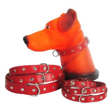 Zgarda Pet Expert Capse 1,0x27cm Rosu Nr.0