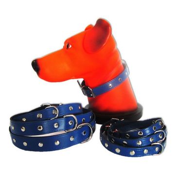 Zgarda Pet Expert Capse 1,4x37 Cm Albastru Nr.2