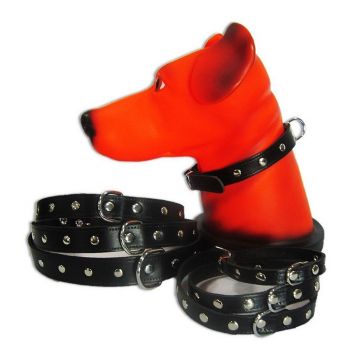 Zgarda Pet Expert Capse 1,4x37 Cm Negru Nr.2