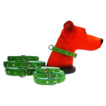 Zgarda Pet Expert Pasla/ tinte 1,0x27 cm Verde Nr.0