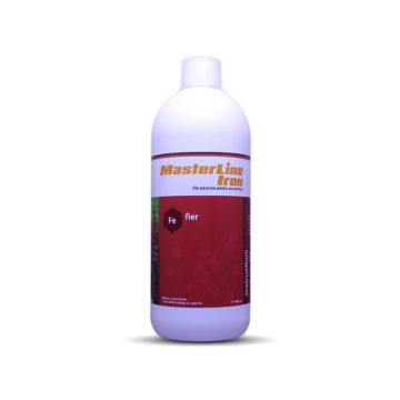 Fertilizant MasterLine Iron (Fe) 1000 ml
