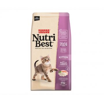 Hrana uscata pentru pisici junior Nutribest Kitten, Pui si Orez, 2Kg