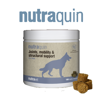 Nutravet Nutraquin, Caini, 100 chews