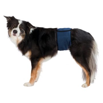 Banda (Incontinenta Urinara) Masculi S-M 37-45 cm Albastru 23662