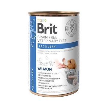 Brit Grain Free Veterinary Diets Dog and Cat Recovery, 400 g
