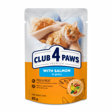 Club 4 Paws, Hrana umeda pisici, somon in sos, 24x85g