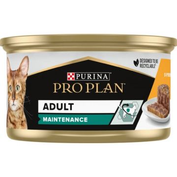 Conserva hrana umeda pisici adulte, Pro Plan Maintenance, 85 g