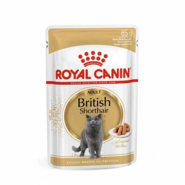 Hrana umeda pentru pisici Royal Canin British Shorthair Adult 85 gr