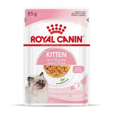 Hrana umeda pentru pisici Royal Canin Kitten in Jelly 85 gr