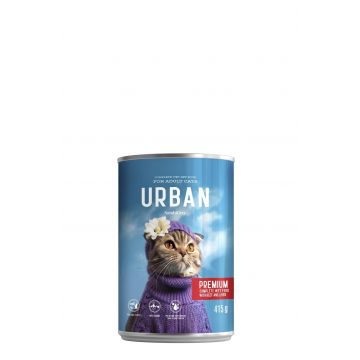 Hrana Umeda Pisici, NashiDay Urban, Vita si Ficat, 415 g