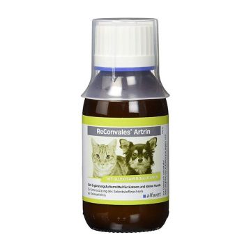 ReConvales Artrin, 90 ml