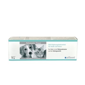 Reconvales Power, Alfavet, pasta, 70 g