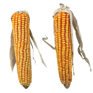 Stiuleti cu Porumb 250 g 60288