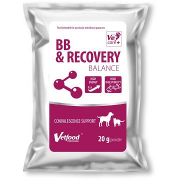 VetFood BB & RECOVERY BALANCE, 20 g