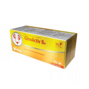 VetFood CitroActiv B6, 120 capsule