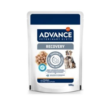 Advance Veterinary Diets Dog & Cat Recovery, 100 g