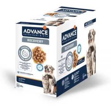 Advance Veterinary Diets Dog & Cat Recovery, 11x100 g