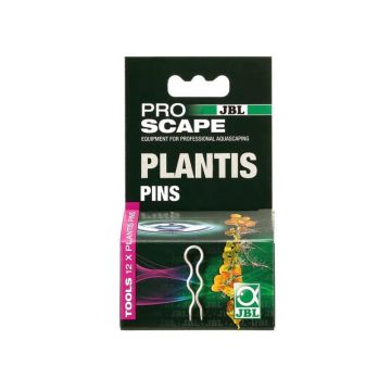 Ancora plante JBL ProScape Plantis